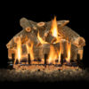 Outdoor fireplace gas wood