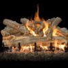 outdoor fireplace gas logs
